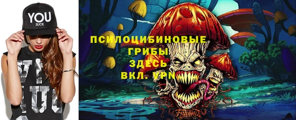 гашик Навашино
