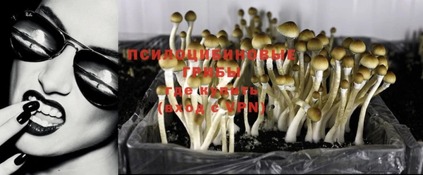 гашик Навашино