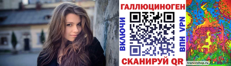 Псилоцибиновые грибы мухоморы Новороссийск