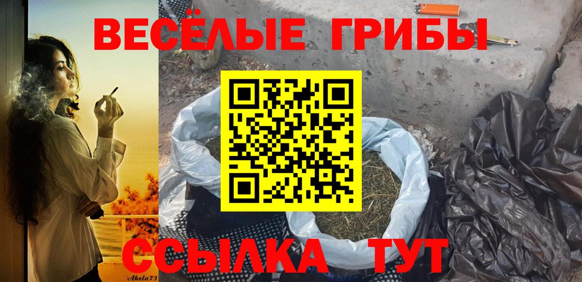 Новороссийск  Псилоцибиновые грибы GOLDEN TEACHER  Вход с VPN 