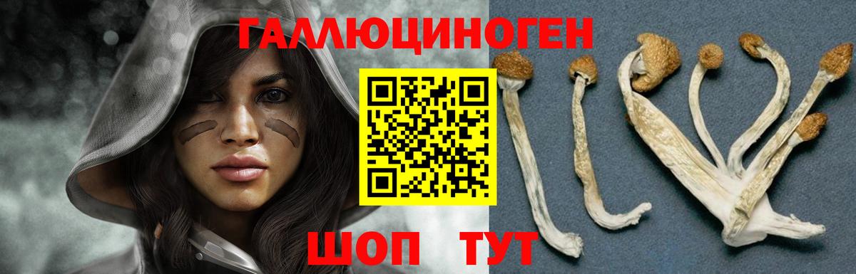 Псилоцибиновые грибы ЛСД Новороссийск