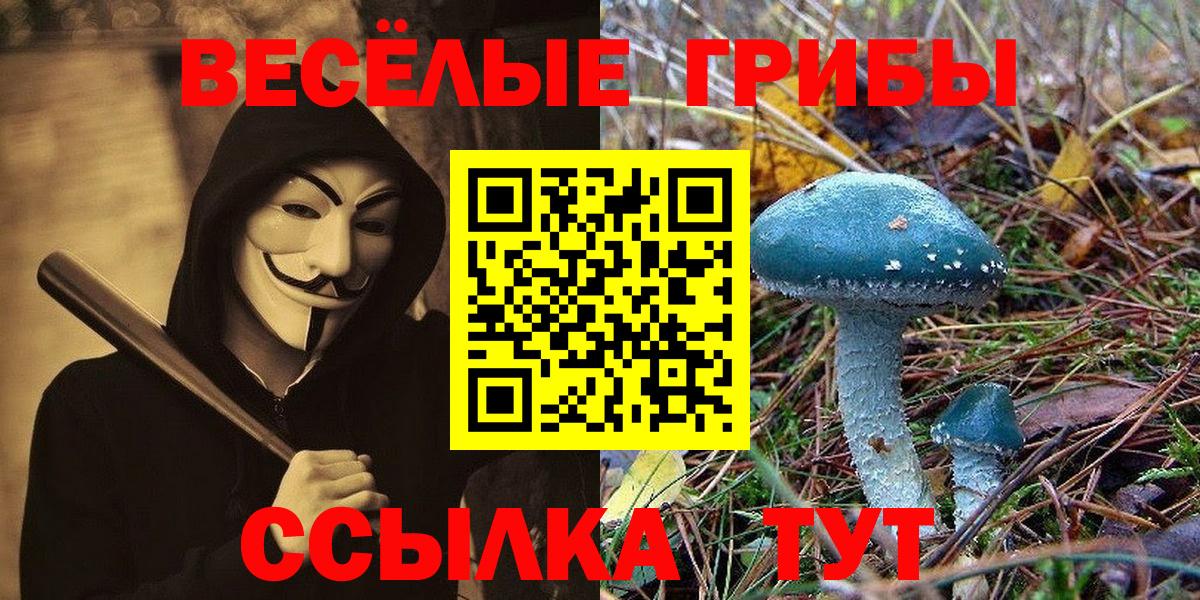 ГАШ  Бошки Шишки  Новороссийск  ЭКСТАЗИ  Лсд 25  КОКАИН  Вход с VPN  Мефедрон кристаллы 